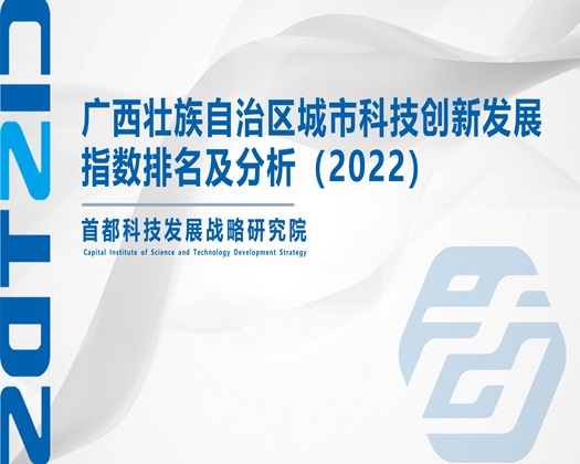 鸡巴美女草逼【成果发布】广西壮族自治区城市科技创新发展指数排名及分析（2022）